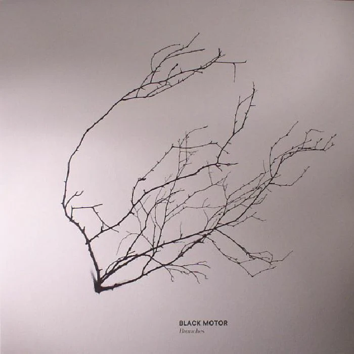 Branches