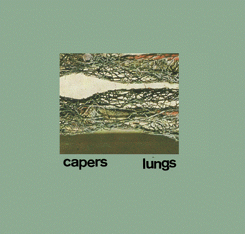 Lungs
