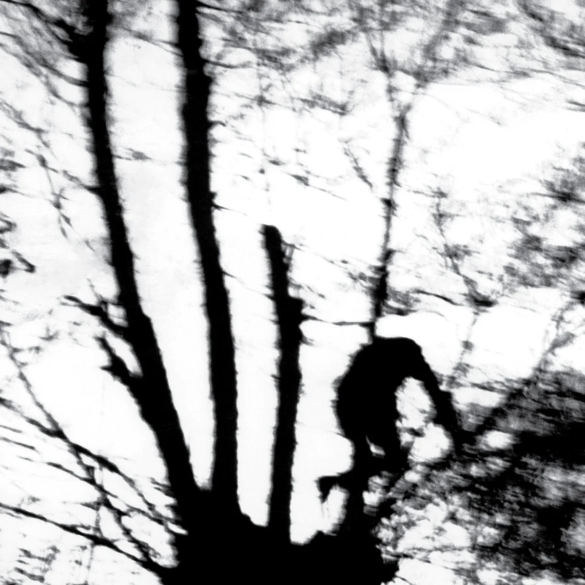 Camouflage Heart