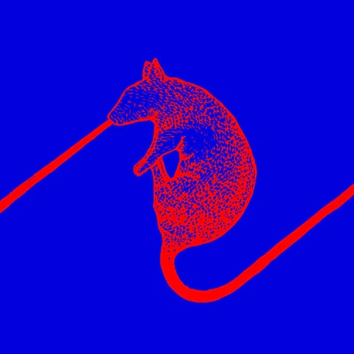 Rats Don´t Eat Synthesizers