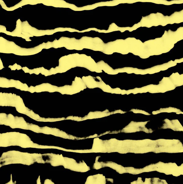 Restless Shapes