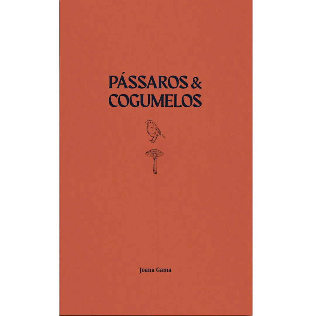 Pássaros & Cogumelos