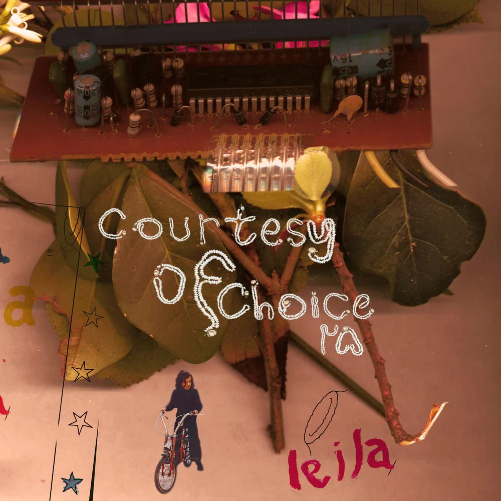 Courtesy of Choice (25th Anniversary Edition)