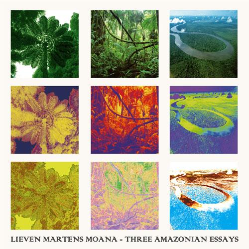 Three Amazonian Essays
