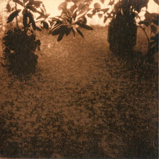 Tulkinta