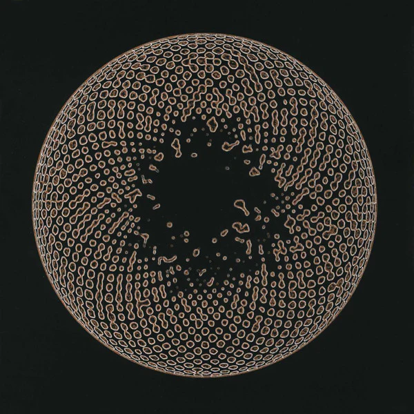Organ Eye