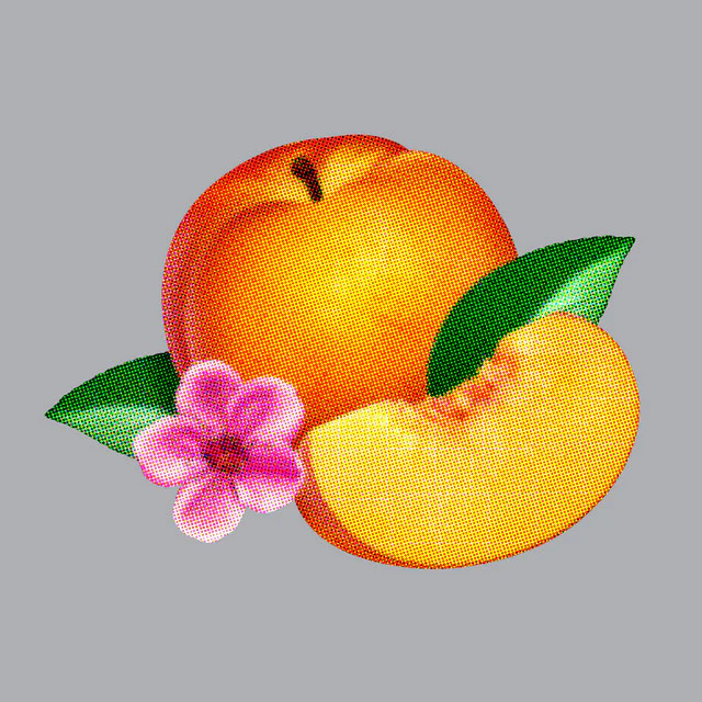 Bankrupt! - Limited Edition
