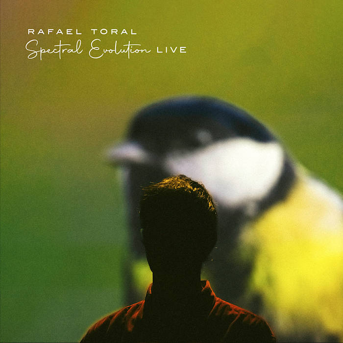 Spectral Evolution - Live