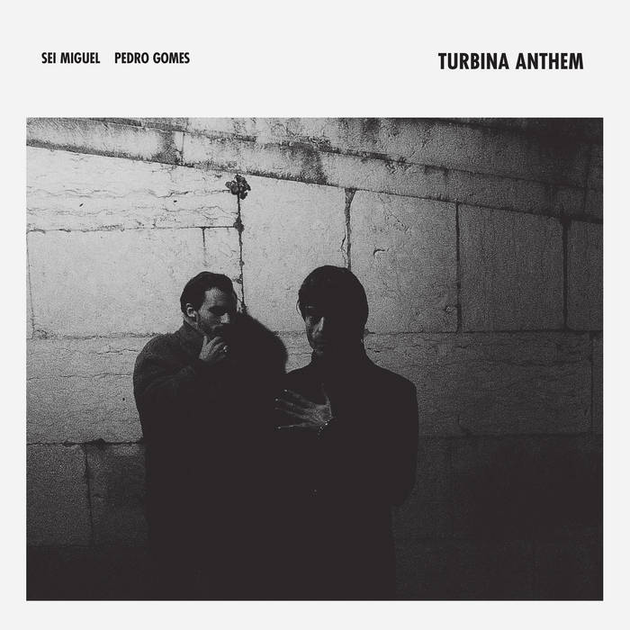 Turbina Anthem