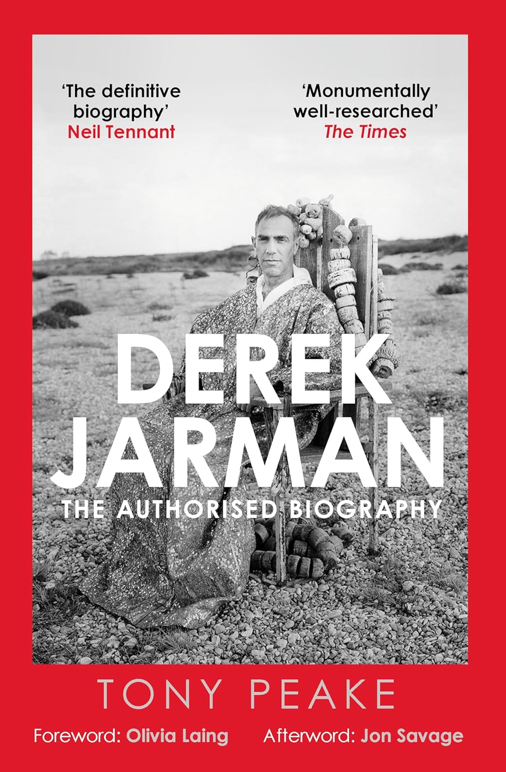 Derek Jarman: The Authorized Biography