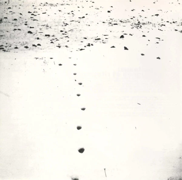 Folds And Rhizomes For Gilles Deleuze